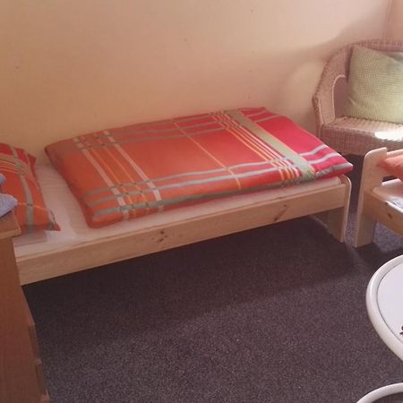 ホテル Pension U Loupezaku Jetřichovice 部屋 写真