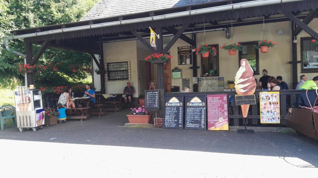 ホテル Pension U Loupezaku Jetřichovice エクステリア 写真