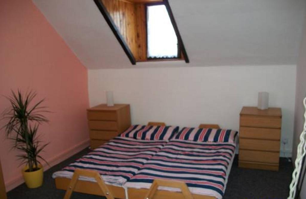 ホテル Pension U Loupezaku Jetřichovice 部屋 写真