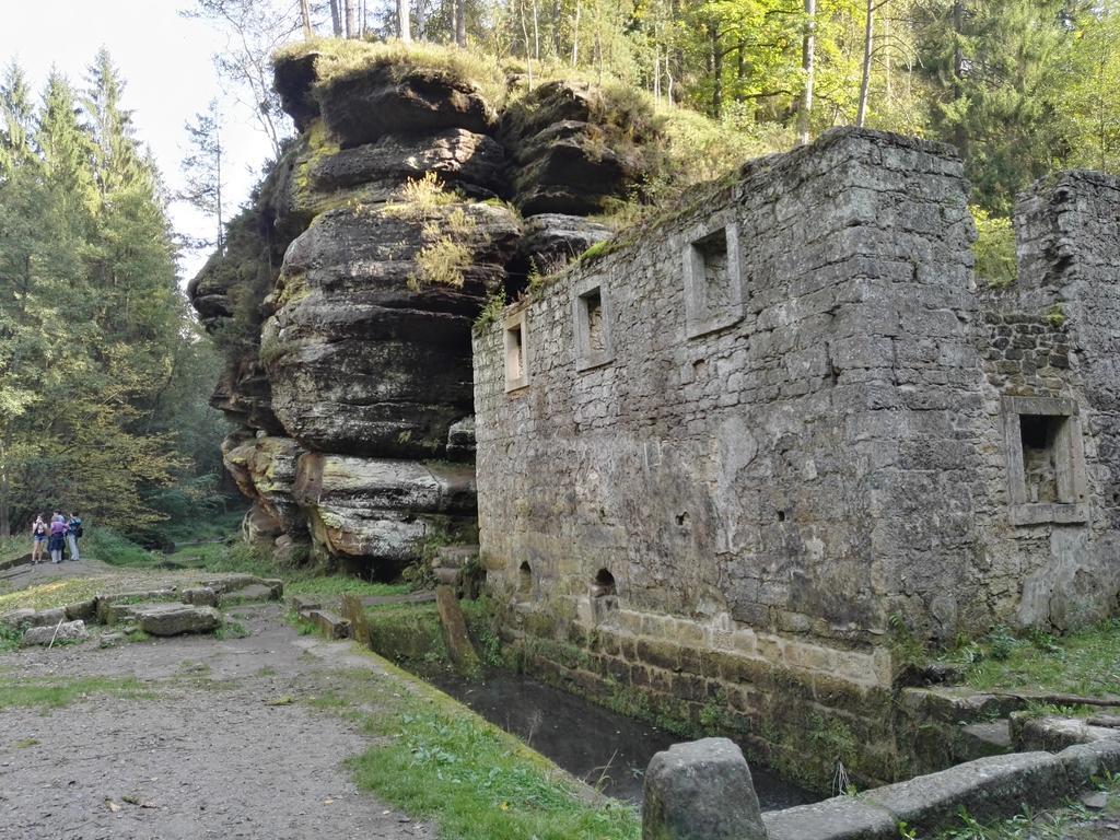 ホテル Pension U Loupezaku Jetřichovice エクステリア 写真