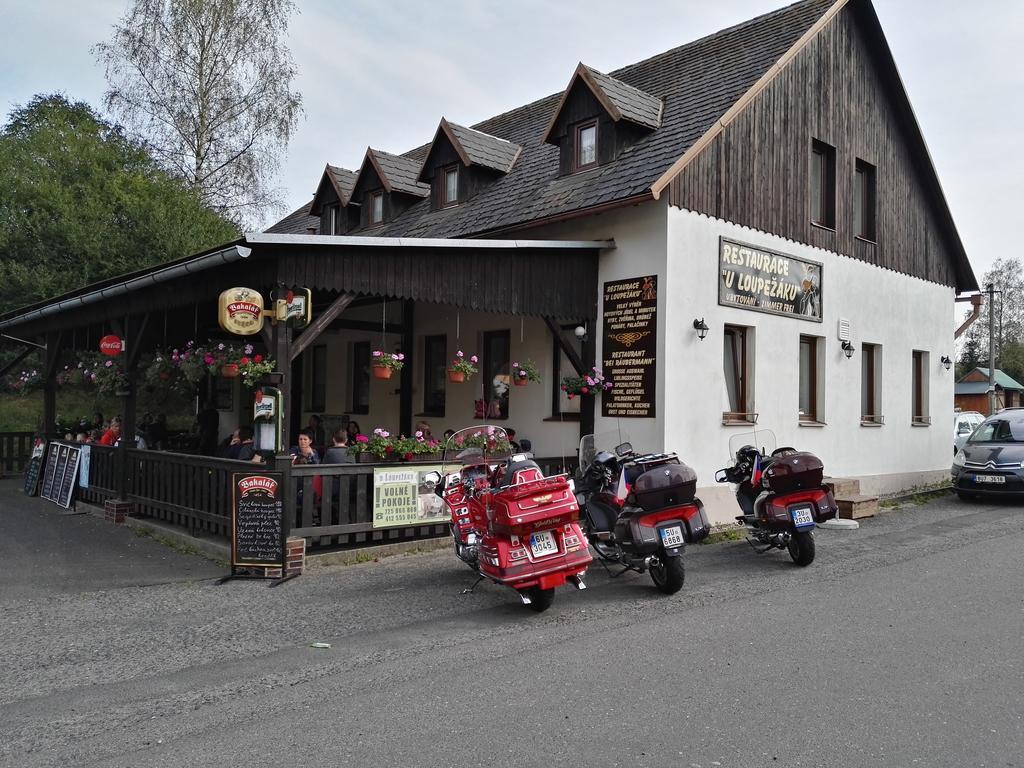 ホテル Pension U Loupezaku Jetřichovice エクステリア 写真